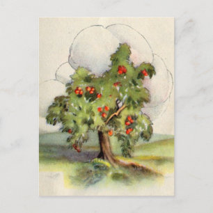 Vintage Apple Tree Postcard