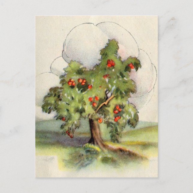 Vintage Apple Tree Postcard (Front)