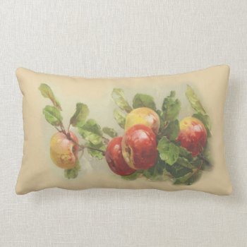Vintage Apples Lumbar Pillow by Past_Impressions at Zazzle