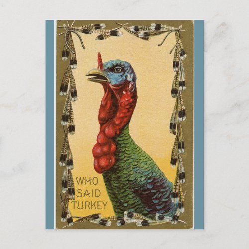 Vintage Apprehensive Turkey Postcard