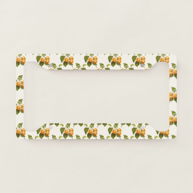Vintage Apricot Design Fruit Vines License Plate Frame (Front)