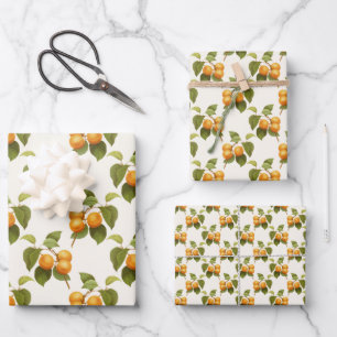 Vintage Apricot Fruit Theme Pattern Wrapping Paper Sheets