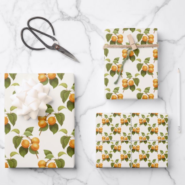 Vintage Apricot Fruit Theme Pattern Wrapping Paper Sheets (Front)