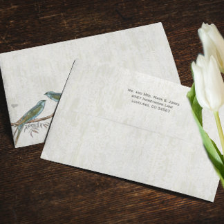 Vintage Aqua Teal Bird Envelopes