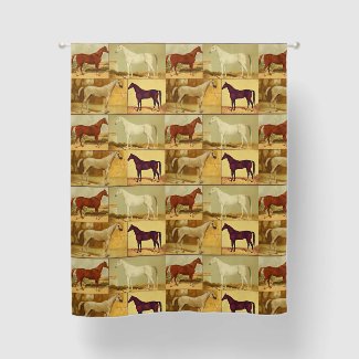 Vintage  Arabian horses - collage