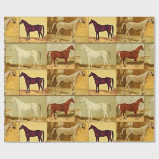 Vintage  Arabian horses - collage 