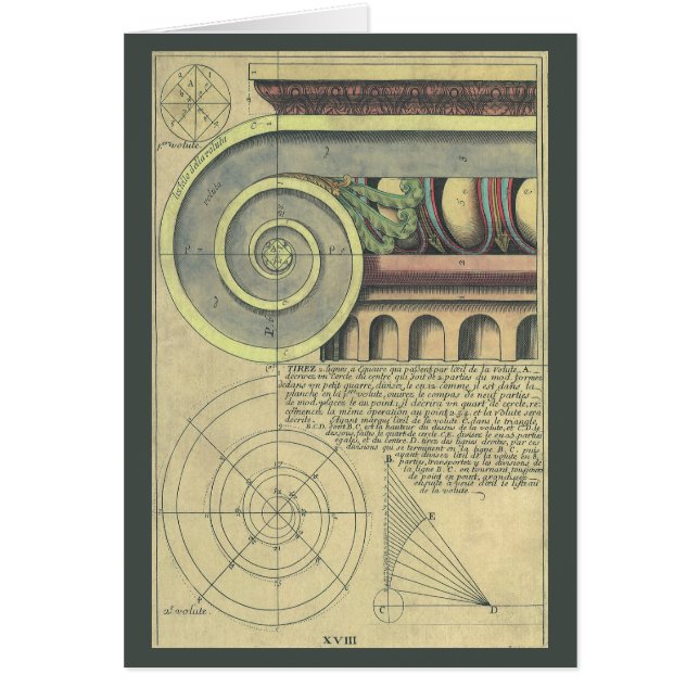 Vintage Architecture; Capital Volute by Vignola (Front)