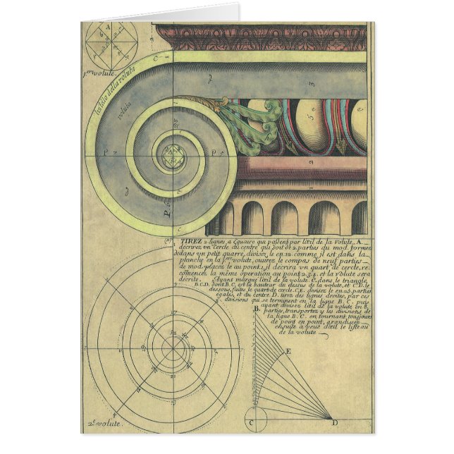 Vintage Architecture; Capital Volute by Vignola Cards (Front)
