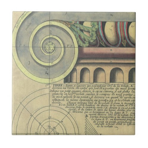 Vintage Architecture Capital Volute by Vignola Ceramic Tile