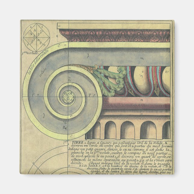 Vintage Architecture; Capital Volute by Vignola Magnet (Front)