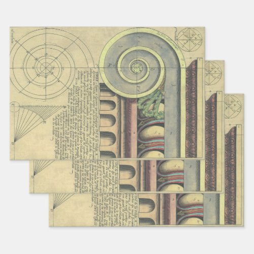 Vintage Architecture Capital Volute by Vignola Wrapping Paper Sheets