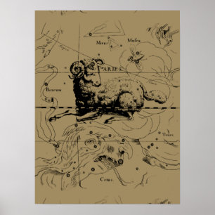 Vintage Aries Constellation Map Hevelius 1690 Poster