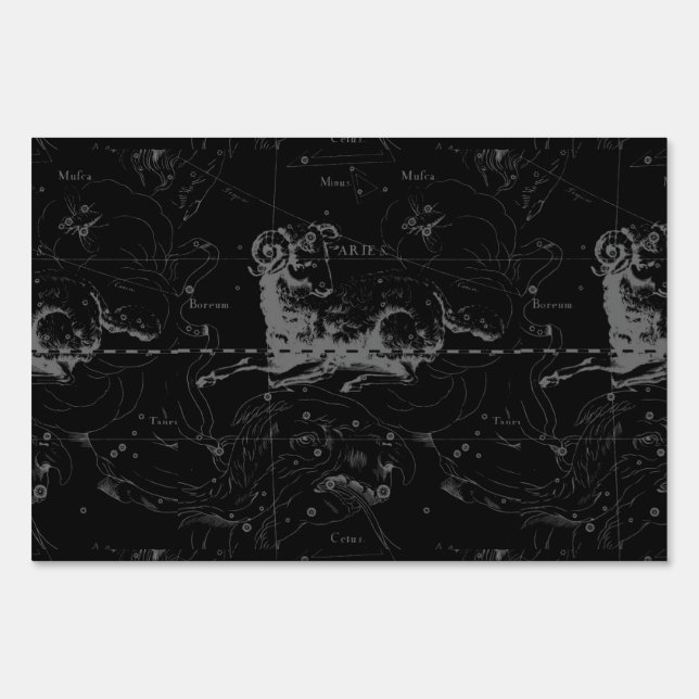 Vintage Aries Sign Constellation Hevelius 1690 (Front)