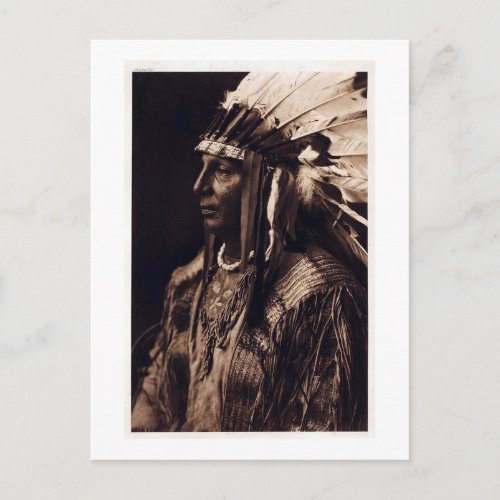 Vintage Arikara Chief Postcard