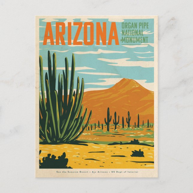 Vintage Arizona Desert Cactus  Postcard (Front)