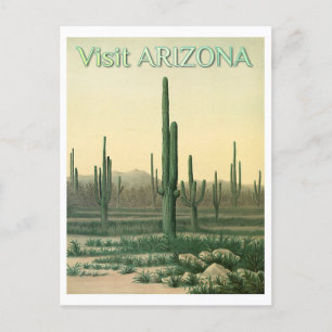 Vintage Arizona Desert Cactus Travel Postcard