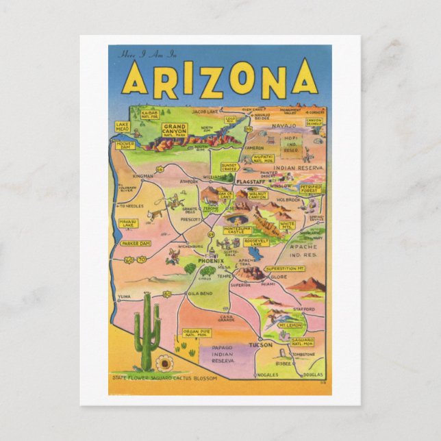 Vintage Arizona Map Travel Postcard (Front)