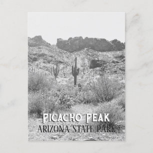 Vintage Arizona Saguaro Cactus Picacho Peak Park Postcard