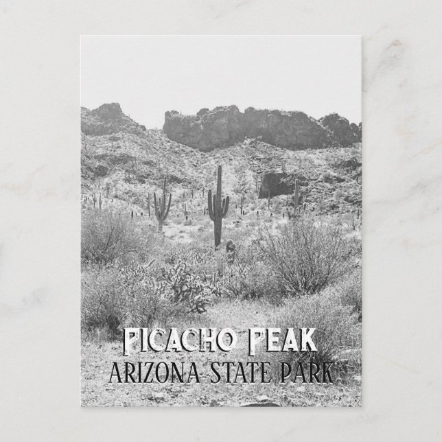 Vintage Arizona Saguaro Cactus Picacho Peak Park Postcard (Front)