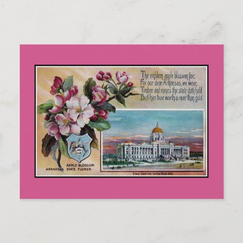 Vintage Arkansas State flower poem Postcard