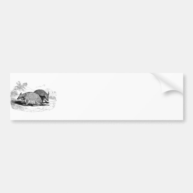 Vintage Armadillo Retro Armadillos Illustration Bumper Sticker (Front)