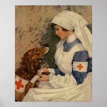 Vintage Army Nurse With Golden Retriever Ww1 Poster by Medical_Art at Zazzle