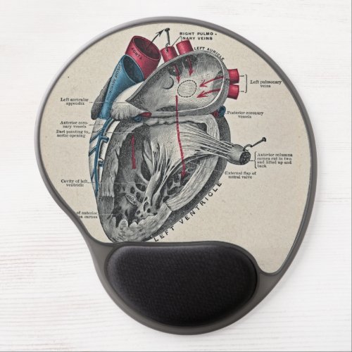 Vintage Art Anatomical Heart Diagram _ science Gel Mouse Pad