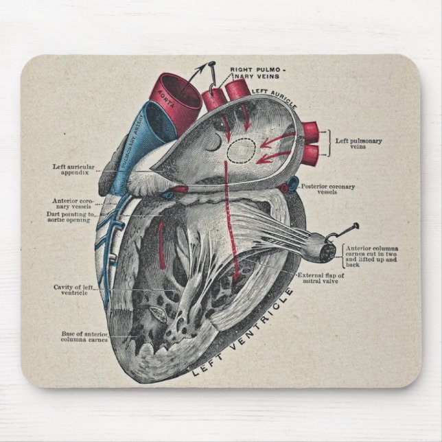 Vintage Art Anatomical Heart Diagram - science Mouse Pad (Front)