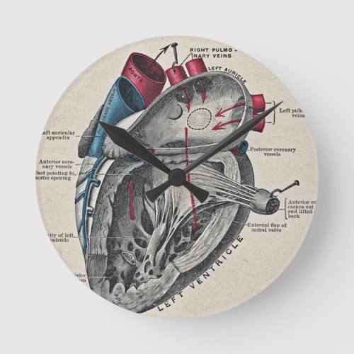 Vintage Art Anatomical Heart Diagram _ science Round Clock