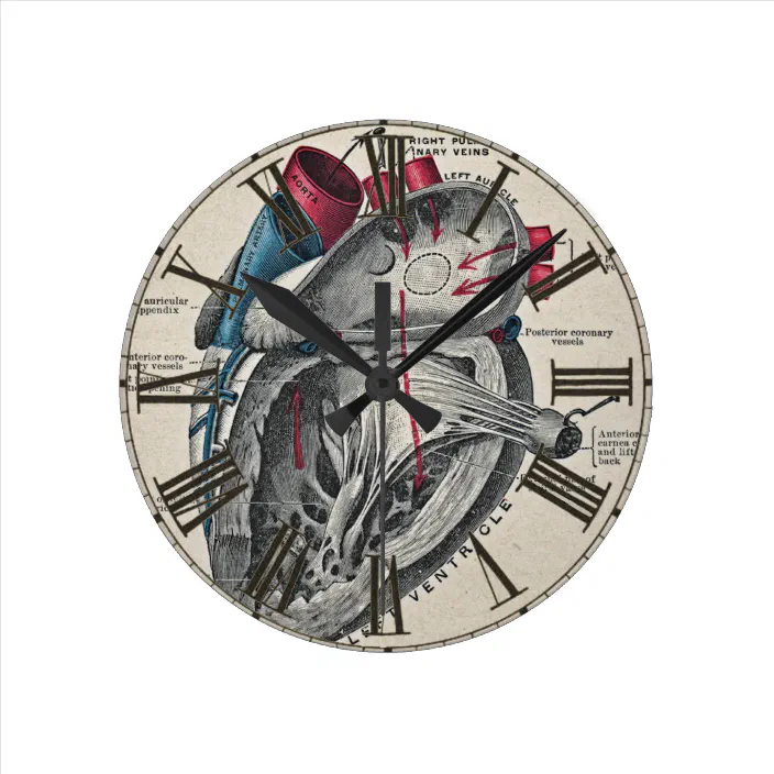 Vintage Art Anatomical Heart Diagram Science Round Clock Zazzle Com