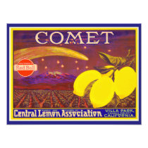 Vintage Art Comet Brand Lemon Label