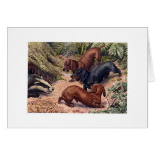 Vintage Art - Dachshunds & a Badger, Cards