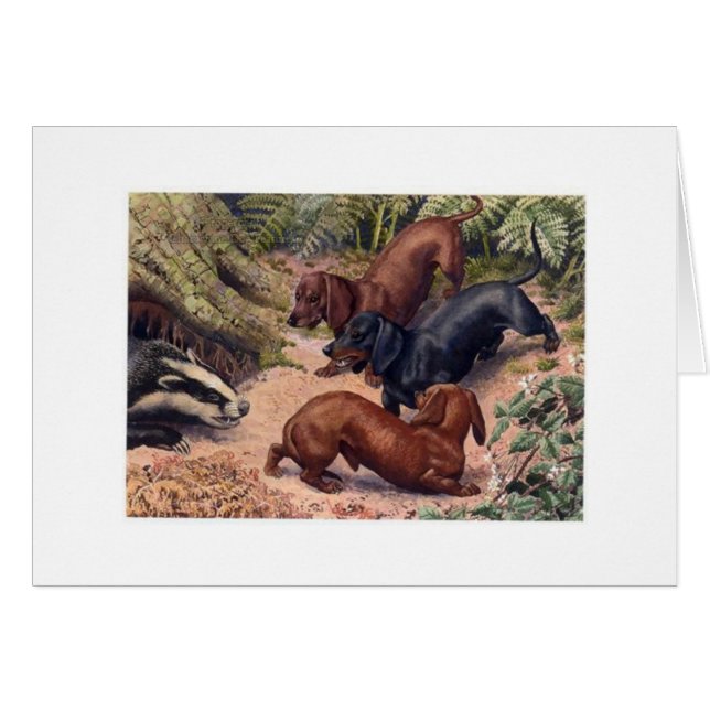 Vintage Art - Dachshunds & a Badger, Cards (Front Horizontal)