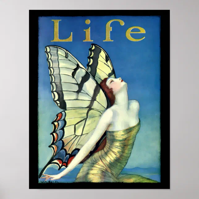 butterfly wing pictures art deco