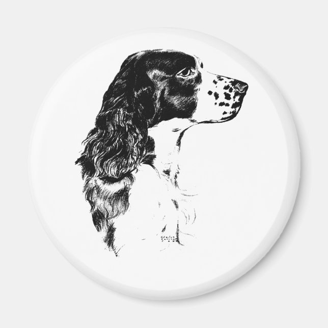 Vintage Art English Springer Spaniel Dog Magnet (Front)