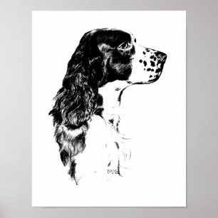 Vintage Art English Springer Spaniel Poster