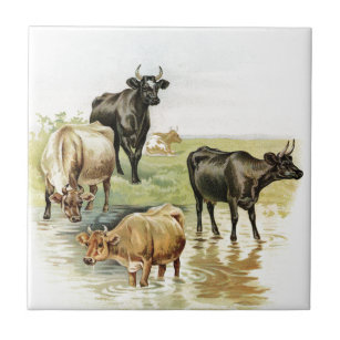 Vintage Art Farm Animals Cows Tile