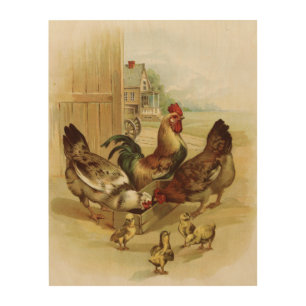 Vintage Art Farm Chickens