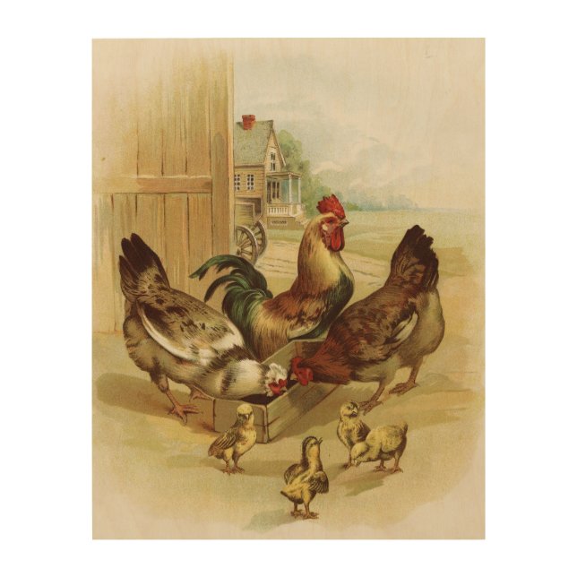 Vintage Art Farm Chickens (Front)