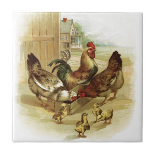 Vintage Art Farm Chickens Ceramic Tile