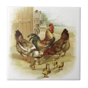 Vintage Art Farm Chickens Ceramic Tile