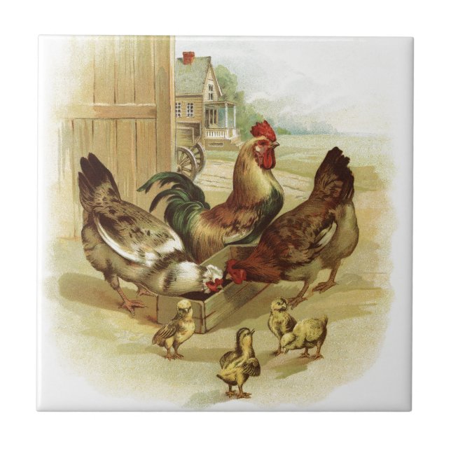 Vintage Art Farm Chickens Ceramic Tile (Front)