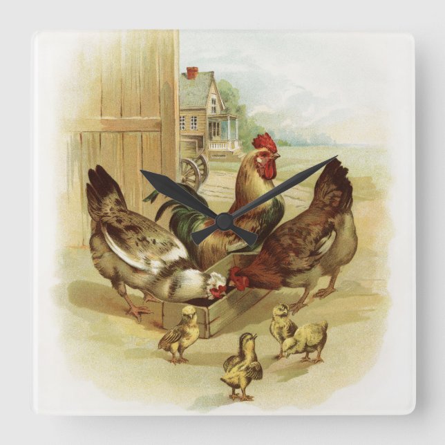 Vintage Art Farm Chickens Square Wall Clock (Front)