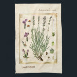 Vintage Art Herbal Lavender Flower Botanical Kitchen Towel<br><div class="desc">Capture the charm of yesterday with Charmed Life's vintage herbal art kitchen towels featuring antique German lithographs of medicinal plants and herbs from Franz Eugen Köhler’s "Medizinal-Pflanzen" or "Medicinal Plants" published in 1887. Lavandula is a genus of 47 known species of flowering plants in the mint family, Lamiaceae. It is...</div>