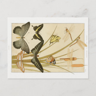 Vintage Art Nouveau Butterflies & Cattails Postcard