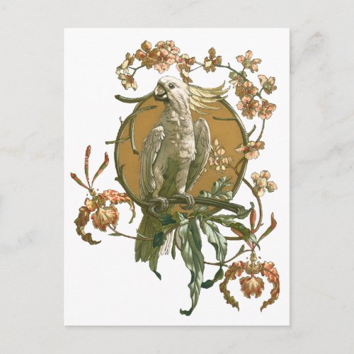 Vintage Art Nouveau Cockatoo Bird Orchid Flowers Postcard