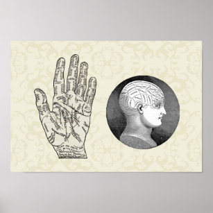 Vintage Palmistry Art & Wall Décor | Zazzle