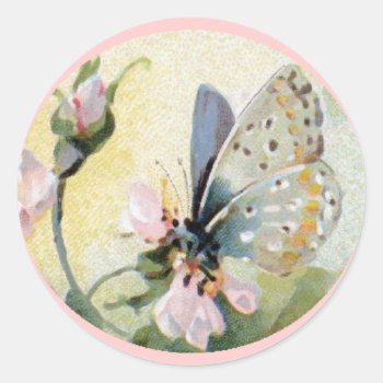 Vintage Art Pink Flowers And Butterfly Sticker by LeAnnS123 at Zazzle