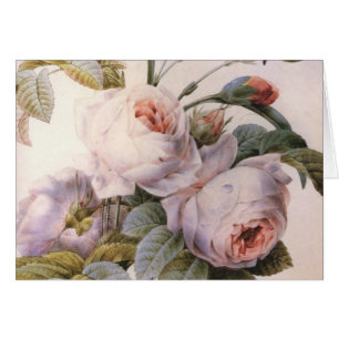 Vintage Art Rose Carnation Flower Greeting Card