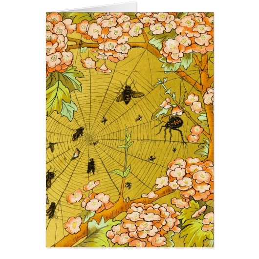 Vintage Art Spider web in flowering tree Cards (Front)